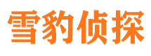 上犹找人公司